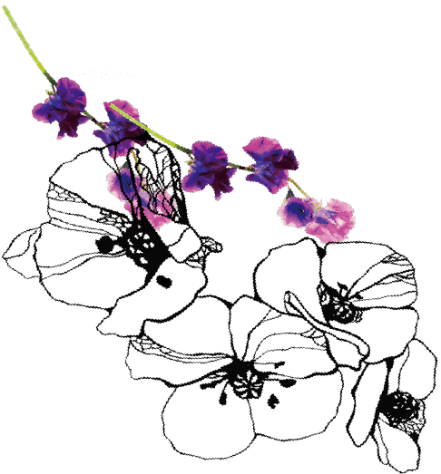 イラスト
