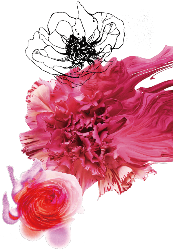 イラスト