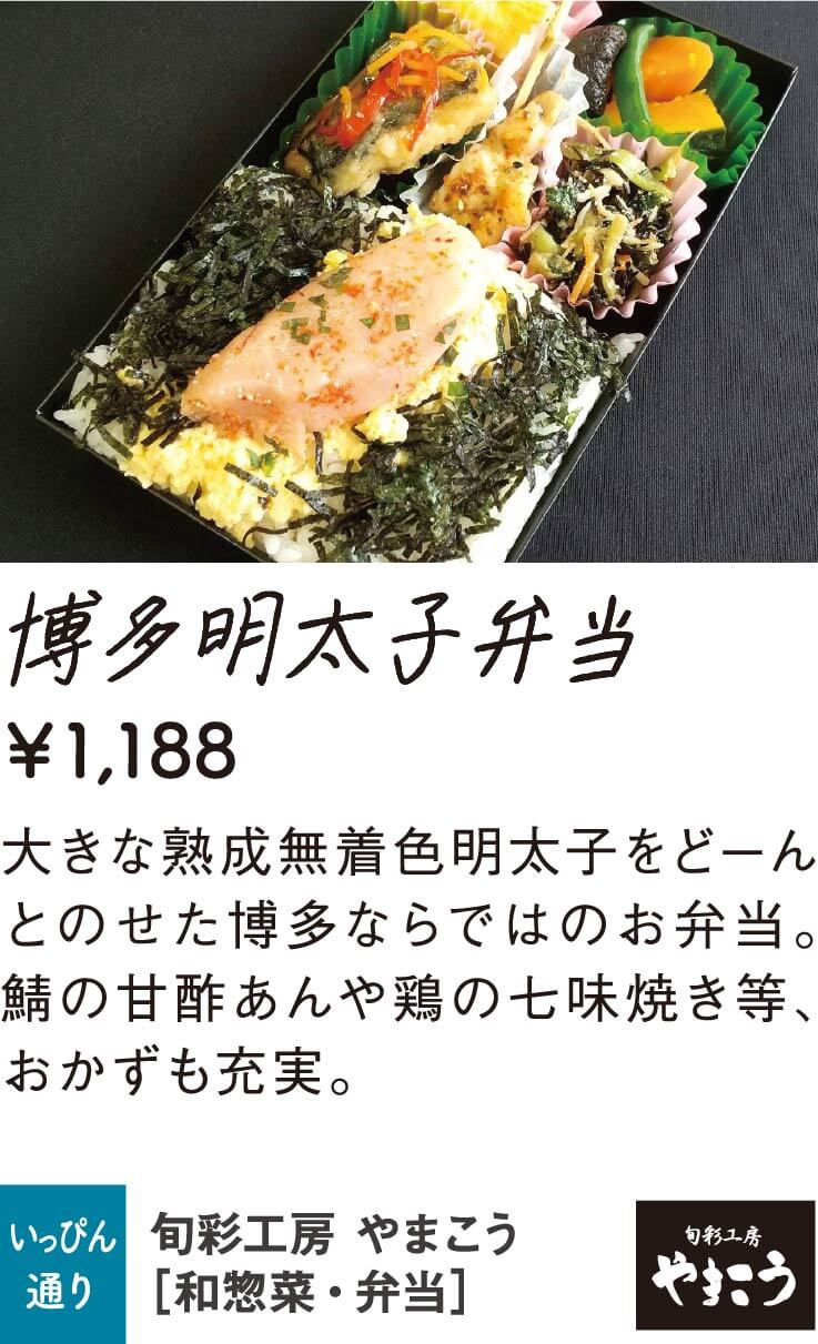 やまこう