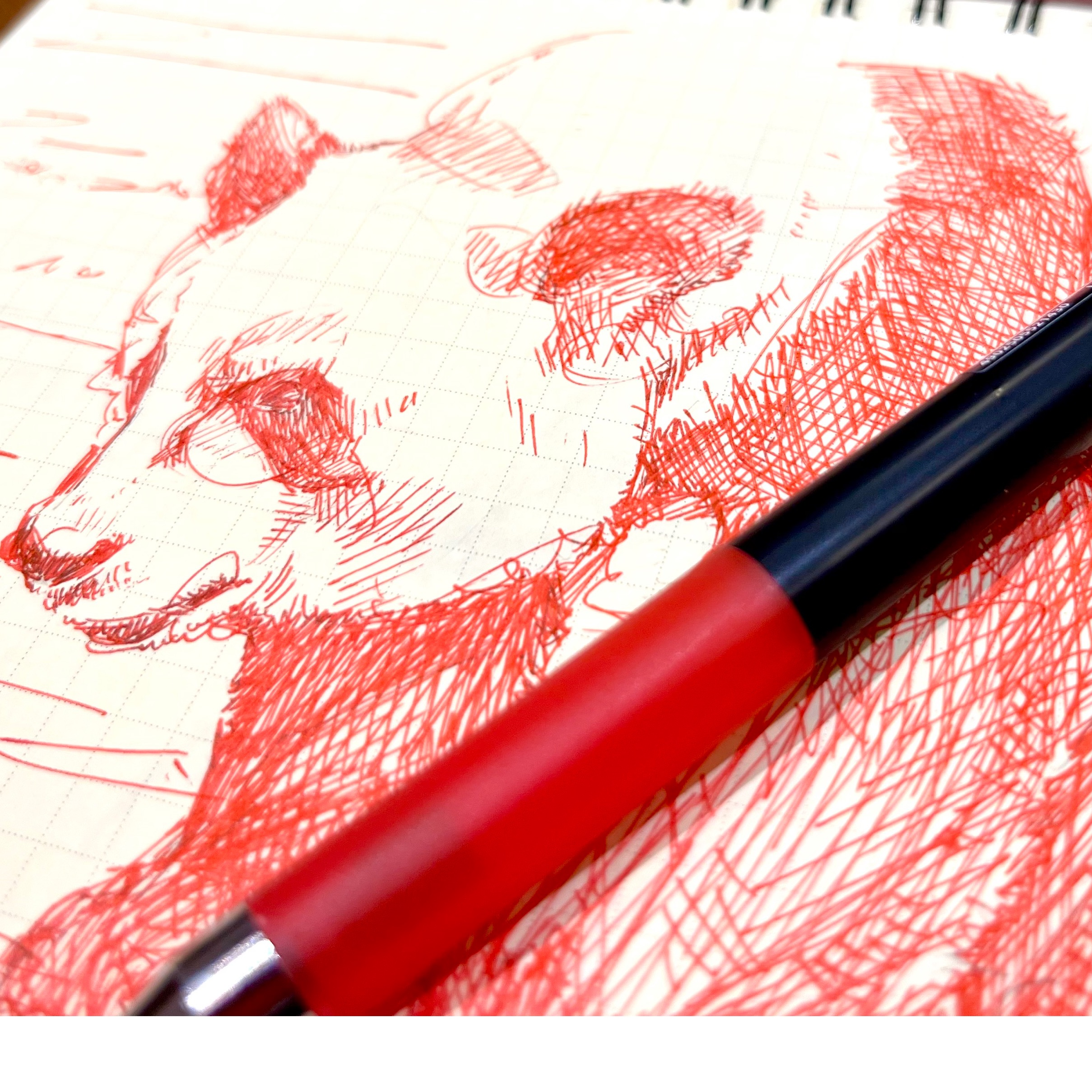 ボールペン画　『華紅想』 Smithのペン日記 1 】イラストでわかる文房具レビュー【PILOT