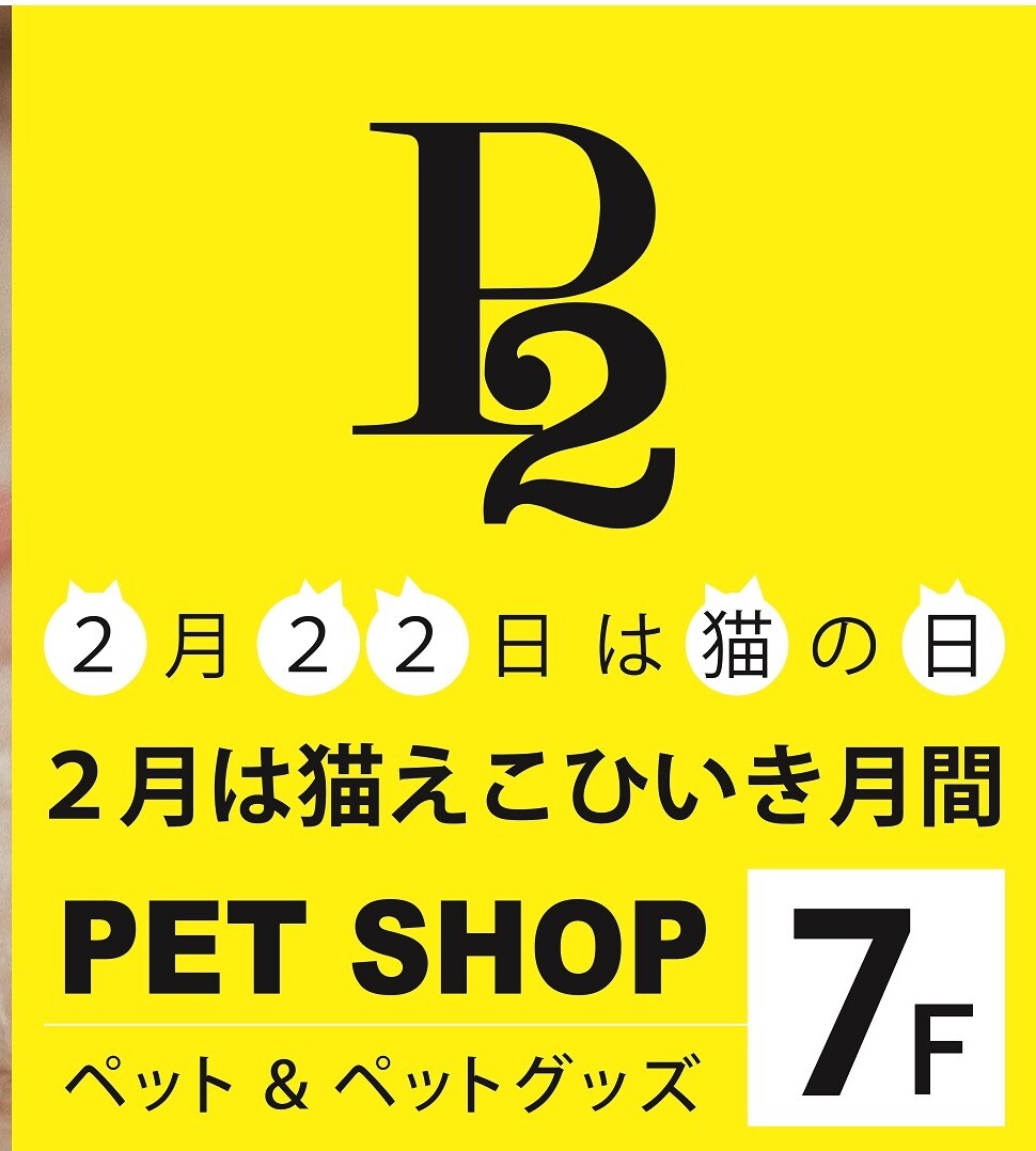 P2、2月は全力で猫をえこひいき！！！ │P2 │ ショップブログ
