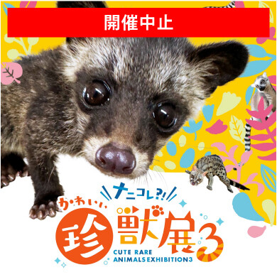 【開催中止】ナニコレ？！かわいい珍獣展3