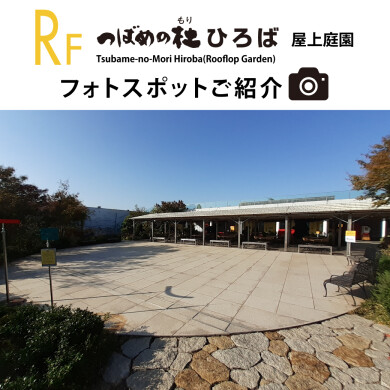 屋上フォトスポット紹介