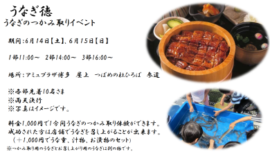 うなぎ徳　うなぎのつかみ取りイベント