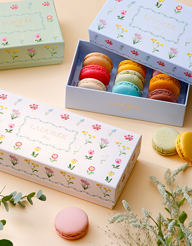 『ラデュレ』3月4日(水)～3月17日(火) 期間限定オープン！＠いっぴん西通り