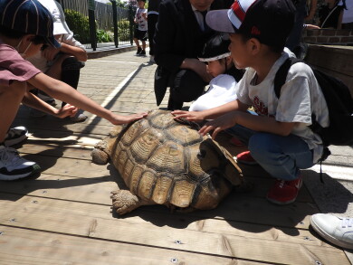 「みんなで楽しく レッツ！リトミック ～」「ミニ動物園 ビジョナリーアーZooの杜」