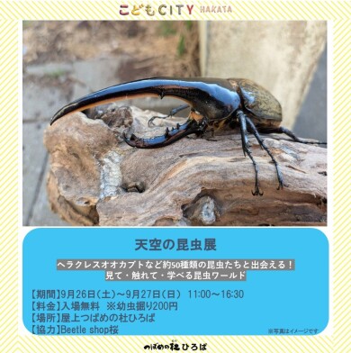 ヘラクレスオオカブトなど約50種類の昆虫たちと出会える！見て・触れて・学べる昆虫ワールド