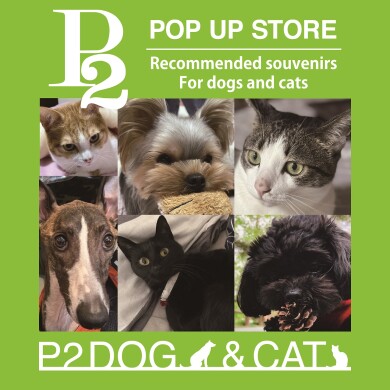 『P2 POPUP STORE』9月12日(金)～9月28日(日) 期間限定オープン！＠EST 1F