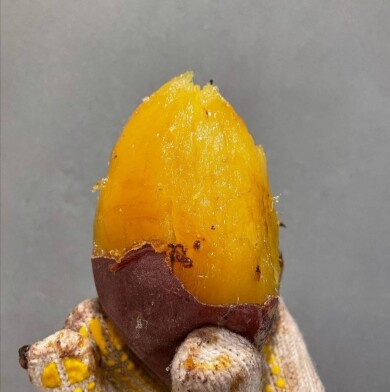 『京都芋屋・芋と野菜』3月18日(水)~3月31日(火) 期間限定オープン!@いっぴん西通り