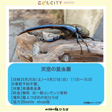 天空の昆虫展