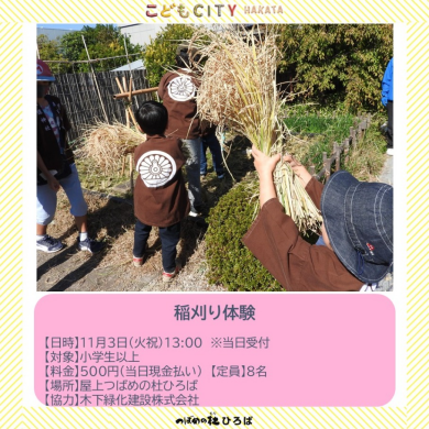 ～稲刈り体験～ 