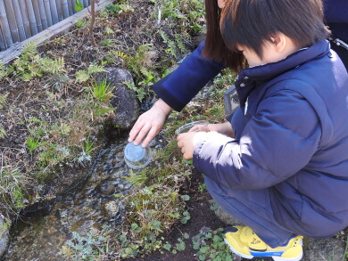 [ホタル放流会」「春のお友だち♪ 画用紙を使って てんとう虫をつくろう！」