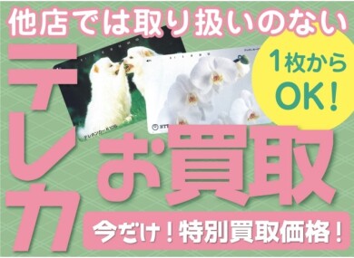 【買取強化中】テレカお買取致します！1枚から大歓迎！ジュエルカフェアミュプラザ博多店で安心査定♪