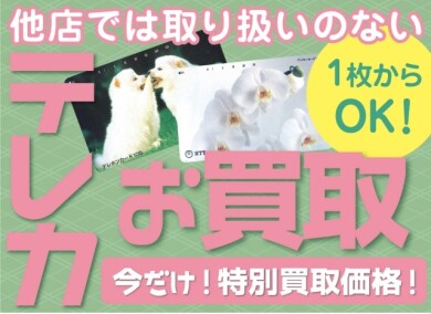 ✨テレカ1枚からお買取✨