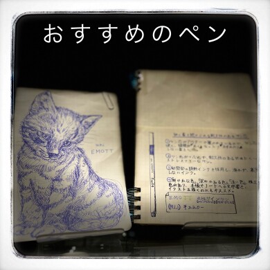 【文房具】オススメのペン実際の書き心地【EMOTT】