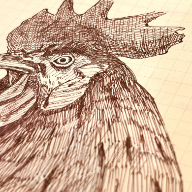 【Smithのペン日記 4 】イラストでわかる文房具レビュー【ZEBURA】