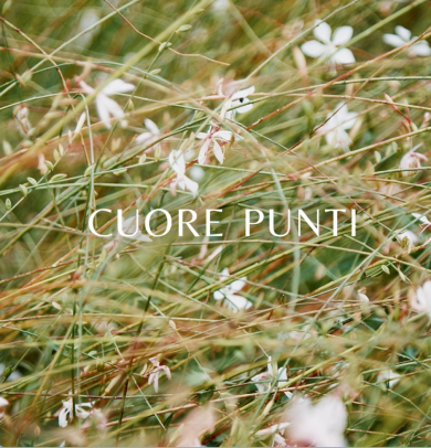 CUORE PUNTI キャンペーン