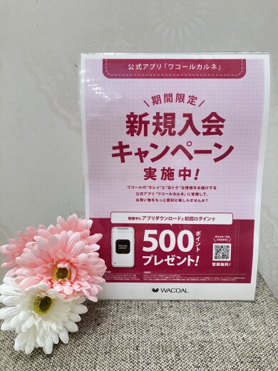 ☆新規入会キャンペーン実施中☆