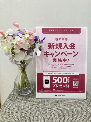 ☆ワコールカルネ新規入会キャンペーン実施中☆