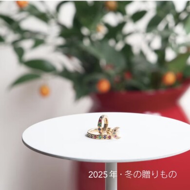 【dress a dress】ホリデーシーズン限定コレクションに注目✨