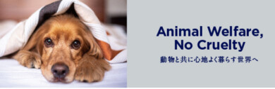 Animal Welfare,No Cruelty 【動物と共に心地よく暮らす世界へ】