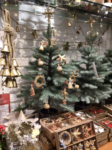 ☆クリスマスツリーのご紹介☆