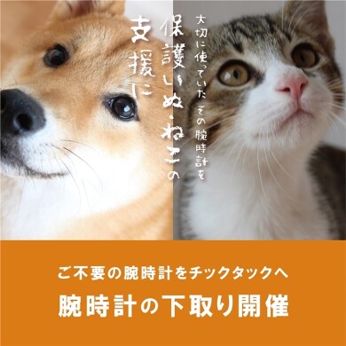 【チックタック】腕時計下取りで10%OFFキャンペーン開催中!保護いぬ•ねこの支援に。