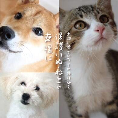 7階TiCTAC 【予告】10/16(木)～下取り無料！『不要な腕時計を保護いぬ・ねこの支援に』
