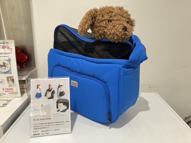軽量のキャリーバッグ
