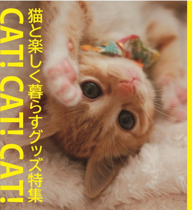 猫に上げたいお得なセット