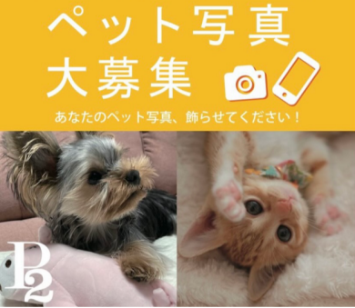 沢山のご応募ありがとうございます！