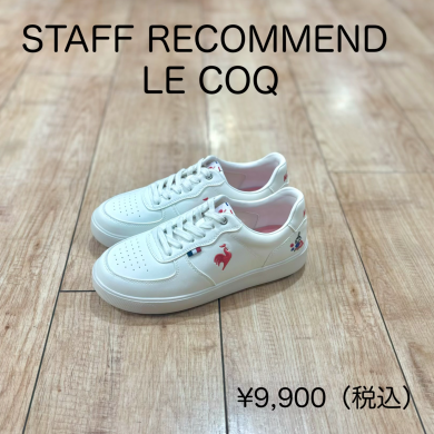 STAFF RECOMMEND！