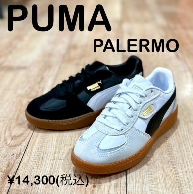 STAFF RECOMMEND！