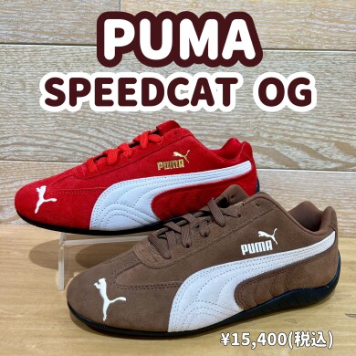 【PUMA】SPEEDCATが入荷しました!