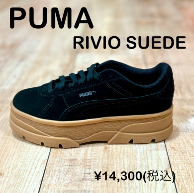 STAFF RECOMMEND！