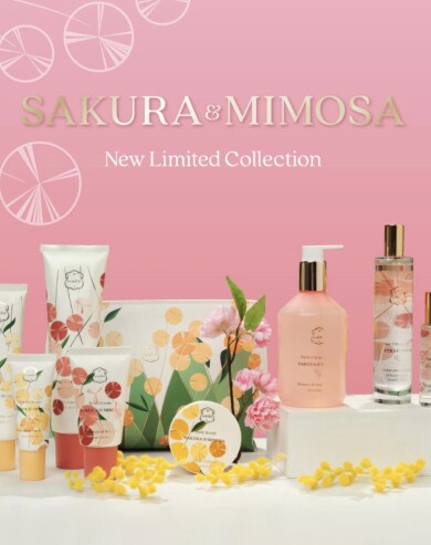 🌸Sakura & Mimosaシリーズ新登場🌼