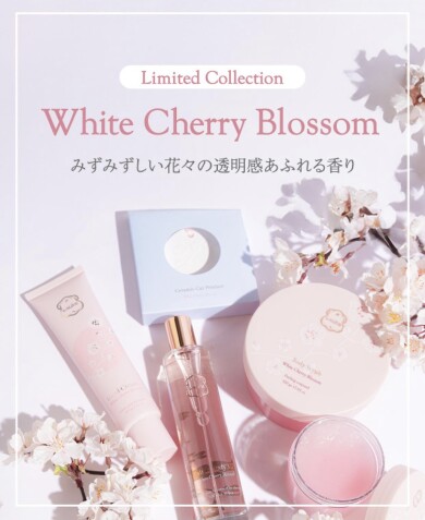 【限定登場】White Cherry Blossom🌸