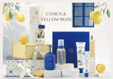 【4/10〜】Citrus & Yellow Rose新登場💛