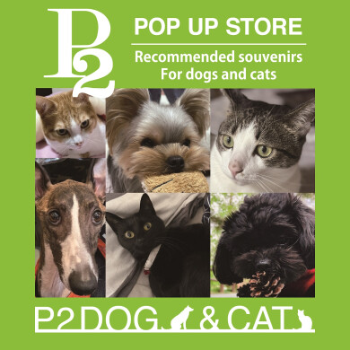 『P2 POPUP STORE』9月12日(金)～9月28日(日) 期間限定オープン！＠EST 1F