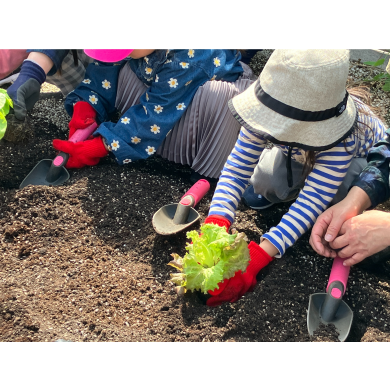 3月のファーマーズ ～サニーレタスの苗植え＆ラディッシュの種まき～