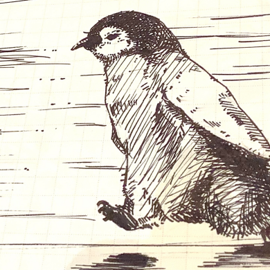 【Smithのペン日記】イラストでわかる文房具レビュー③【ぺんてる】