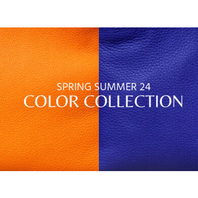 COLOR COLLECTION 　入荷のお知らせ。