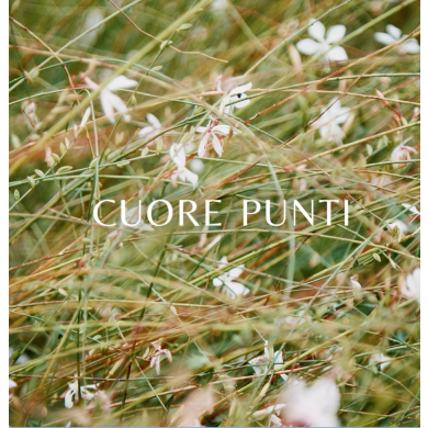 CUORE PUNTI キャンペーン