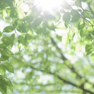 【紫外線ケア】強い日差しの季節に🌞