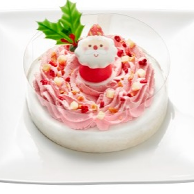 ペット用のクリスマスケーキが入荷しました!