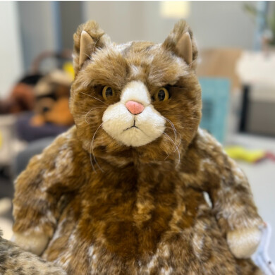 にゃんにゃんにゃーん!!! 2月22日は「猫の日」かわいい猫のぬいぐるみが集合