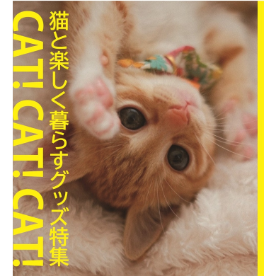 猫に上げたいお得なセット