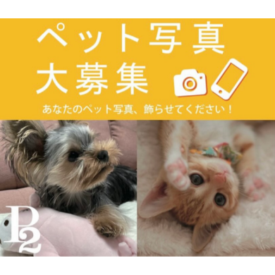 ペットの写真大募集！