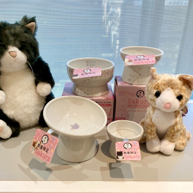 猫壱 限定食器