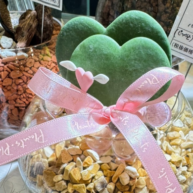 ハートのかわいい子♡バレンタインのギフトにも